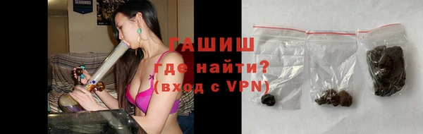 гидра Дмитров