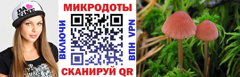 магазин Приморск Галлюциногенные грибы прущие грибы